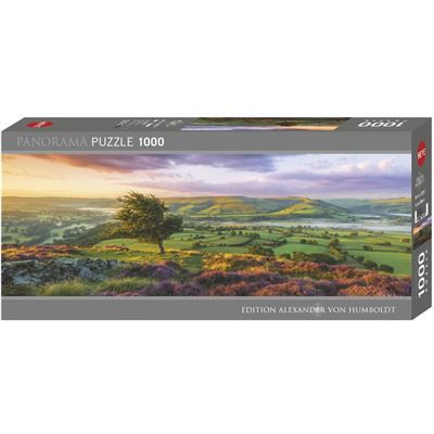 Spiel 6118.0